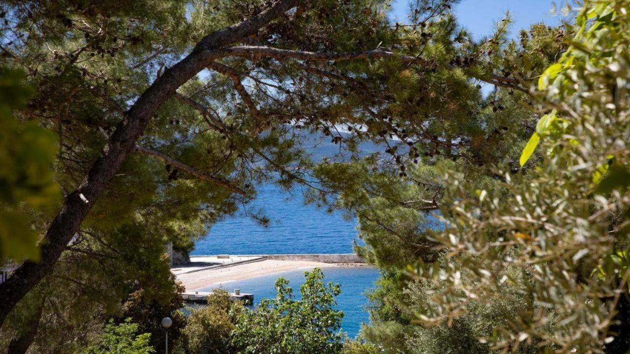 Sea House Pool & Jacuzzi - Privilege Point & Ferienhaus Selce